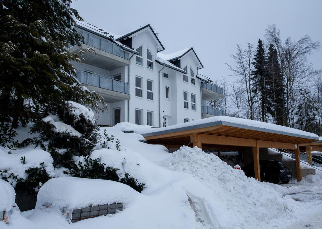 Welcome In - Ferienwohnung Kappenblick 1 - Buchenweg Винтерберг Екстериор снимка
